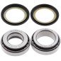 ALL BALLS ŁOŻYSKA GŁÓWKI RAMY Z USZCZELNIACZAMI YAMAHA FZ 600 '86-'88, SRX 600 (86), XJ 650 '80-'83, XJ 750 ALL BALLS ŁOŻYSKA GŁÓWKI RAMY Z USZCZELNIACZAMI YAMAHA FZ 600 '86-'88, SRX 600 (86), XJ 650 '80-'83, XJ 750