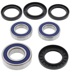 ALL BALLS ŁOŻYSKA KOŁA TYLNEGO Z USZCZELNIACZAMI SUZUKI DL1000 V-Strom 14-19, DL1050 V-Strom 20-24, GSX-R1000 01-18