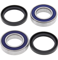 ALL BALLS ŁOŻYSKA KOŁA TYLNEGO Z USZCZELNIACZAMI ETON IXL-40 , RX4-70/90, RXL 50M MINI, RXL 50/70/90, RXL 90 VIPER