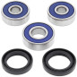 ALL BALLS ŁOŻYSKA KOŁA TYLNEGO Z USZCZELNIACZAMI Honda CBF125 09-13, CBR125 04-10, CT125 ABS 21-22, GROM 125 14-24 ALL BALLS ŁOŻYSKA KOŁA TYLNEGO Z USZCZELNIACZAMI Honda CBF125 09-13, CBR125 04-10, CT125 ABS 21-22, GROM 125 14-24