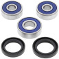 ALL BALLS ŁOŻYSKA KOŁA TYLNEGO Z USZCZELNIACZAMI Honda CBF125 09-13, CBR125 04-10, CT125 ABS 21-22, GROM 125 14-24 ALL BALLS ŁOŻYSKA KOŁA TYLNEGO Z USZCZELNIACZAMI Honda CBF125 09-13, CBR125 04-10, CT125 ABS 21-22, GROM 125 14-24