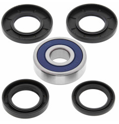 ALL BALLS ŁOŻYSKA KOŁA TYLNEGO Z USZCZELNIACZAMI CF MOTO CF GLORY, CF 150T CHARM, CFE JEWEL, HONDA CN 250 86-07