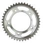 MTX PARTS ZĘBATKA TYLNA 4357 42 HONDA CBR 600F '99-'00, VT 750C SHADOW '98-'04, CB 600 HORNET '98-'06, CBF 600 '08-'12