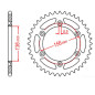 MTX PARTS ZĘBATKA TYLNA 702 43 HUSQVARNA SM 610 '08-'09, SUZUKI DR350 '90-'03, RGV 250 '91-'96 (JTR822.43) (ŁAŃC. 520)