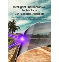 LOBOO Inteligentny wizjer elektrochromatyczny
